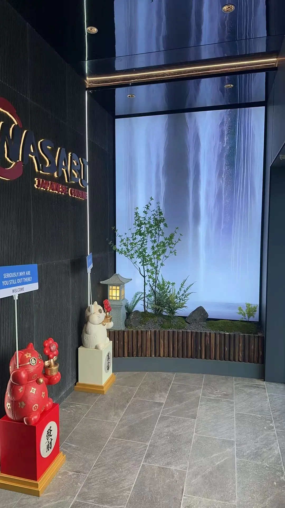 Japanese restaurant Wasabi Japanese Cuisine 1 | Springboro