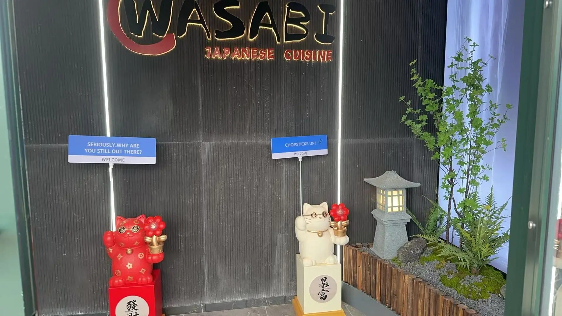 Japanese restaurant Wasabi Japanese Cuisine 10 | Springboro